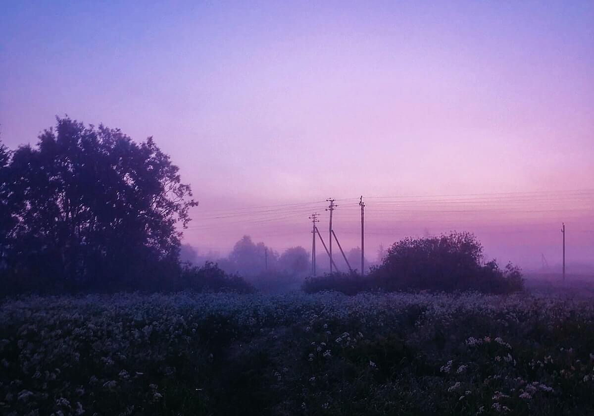 最强法务部折戟 任天堂召唤角色专利被驳回