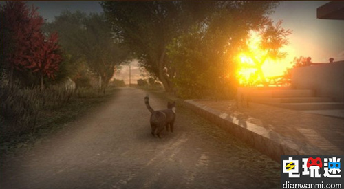 从猫的眼睛看世界 《和平岛》正在进行众筹 MAC PC 和平岛 电玩迷资讯  第1张