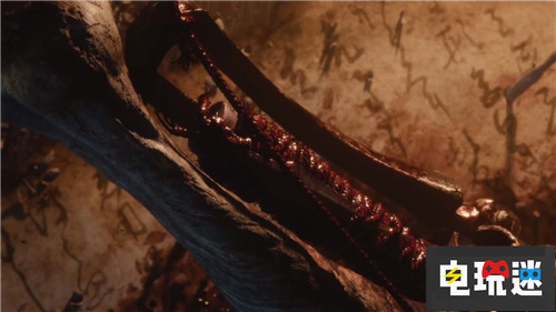 《只狼：影逝二度》评级17+断手残肢随处见 只狼 只狼：影逝二度 From Software 电玩迷资讯  第4张