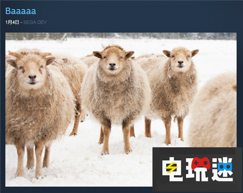 世嘉希望将推出《凯瑟琳》后会有更多游戏登陆PC Steam PC 女神异闻录5 凯瑟琳 Atlus 世嘉 STEAM/Epic  第1张