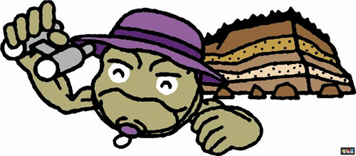 《精灵宝可梦》小拳石成为日本岩手县吉祥物 小拳石 任天堂 Switch 精灵宝可梦 岩手县 日本 任天堂SWITCH  第6张