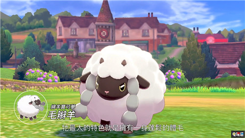《精灵宝可梦：剑盾》大量新情报公开 11月15日发售 任天堂 Switch 精灵宝可梦 精灵宝可梦：剑盾 任天堂SWITCH  第2张