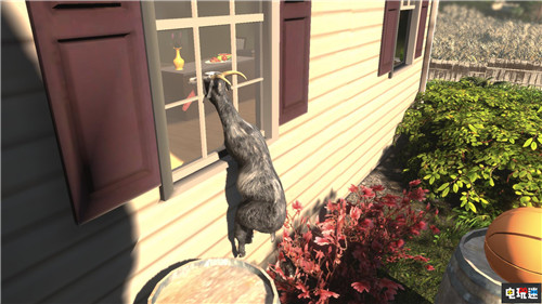 德国零售商泄露《模拟山羊》Switch实体版 Switch 任天堂 山羊模拟器 模拟山羊：年度版 任天堂SWITCH  第4张