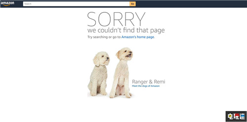 官方授权收纳包或泄露《守望先锋》即将登陆Switch 亚马逊 Overwatch OW 守望先锋 任天堂 Switch 任天堂SWITCH  第3张