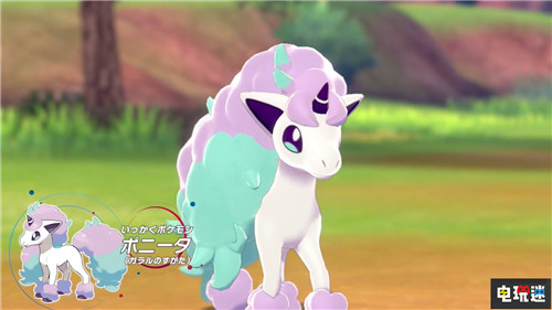 彩虹小马!《宝可梦：盾》独占伽勒尔地区小火马公开 小火马 GameFreak 任天堂 Switch 宝可梦：剑盾 宝可梦：盾 任天堂SWITCH  第2张