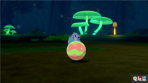 彩虹小马!《宝可梦：盾》独占伽勒尔地区小火马公开 小火马 GameFreak 任天堂 Switch 宝可梦：剑盾 宝可梦：盾 任天堂SWITCH  第5张