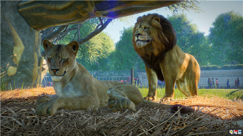 Steam周榜：《动物园之星》夺冠大家一起养动物 PC 足球经理2020 绝地求生 GTA5 动物园之星 Steam STEAM/Epic  第1张