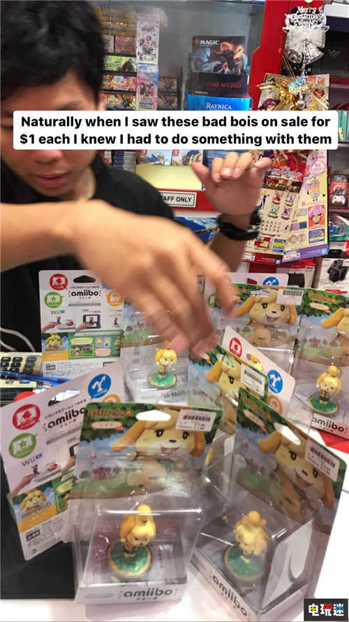 丈夫为妻子准备36个不喜欢的《动物之森》西施惠Amiibo圣诞惊喜 Amiibo Switch 西施惠 动物之森 任天堂SWITCH  第2张