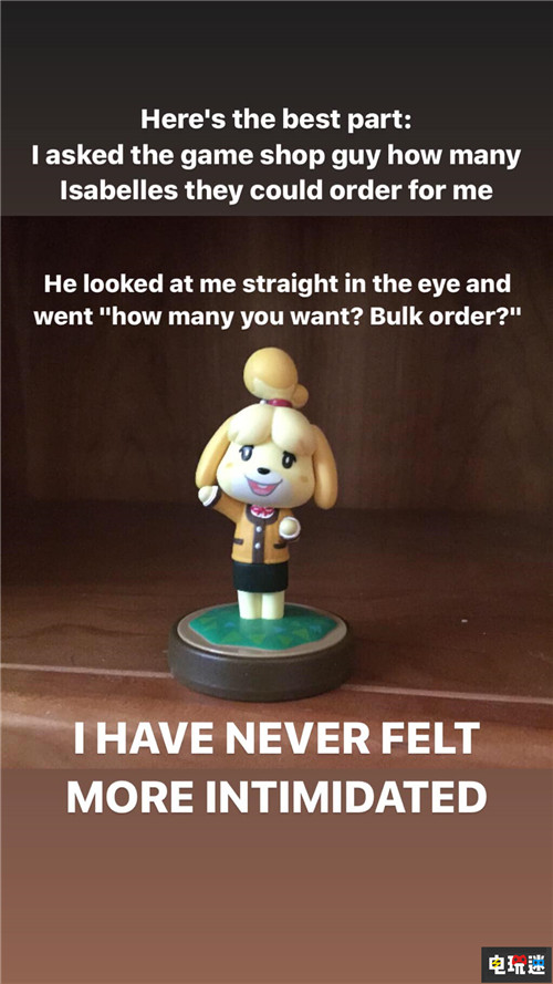 丈夫为妻子准备36个不喜欢的《动物之森》西施惠Amiibo圣诞惊喜 Amiibo Switch 西施惠 动物之森 任天堂SWITCH  第5张