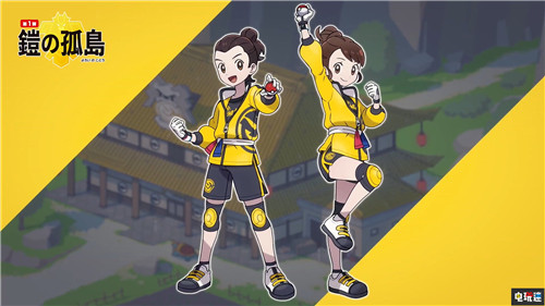 《宝可梦：剑/盾》季票双DLC公开包含大量宝可梦与内容 宝可梦Home DLC 直面会 任天堂 Switch 宝可梦：剑盾 任天堂SWITCH  第4张