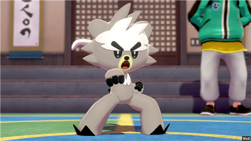 美国任天堂对《宝可梦：剑盾》购买错误版本季票玩家退款 任天堂 Switch 铠之孤岛 宝可梦：剑盾 任天堂SWITCH  第1张