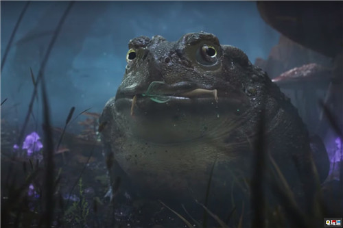 首席编剧空缺《神鬼寓言》重启新作还在初期 Xbox 微软 Playground Games 神鬼寓言 微软XBOX  第4张