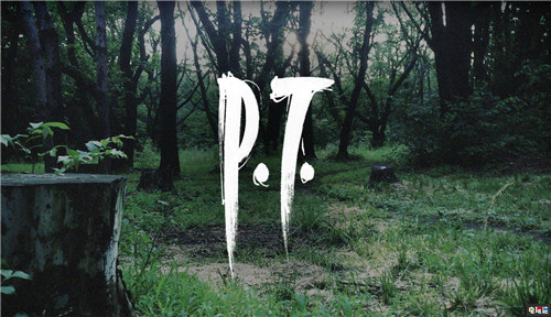 由于已经下架 《P.T.》无法通过PS5向下兼容 寂静岭 PS5 P.T. PT 索尼PS  第1张