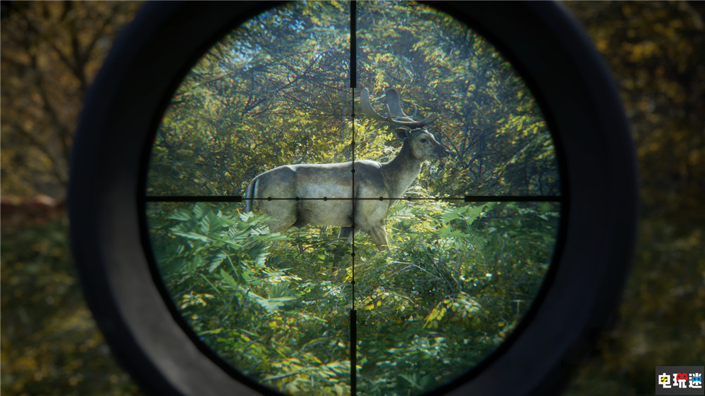 Epic周免：《猎人：野性的呼唤》 下周《黎明杀机》喜加一 PC 黎明杀机 猎人：野性的呼唤 喜加一 周免 Epic STEAM/Epic  第3张