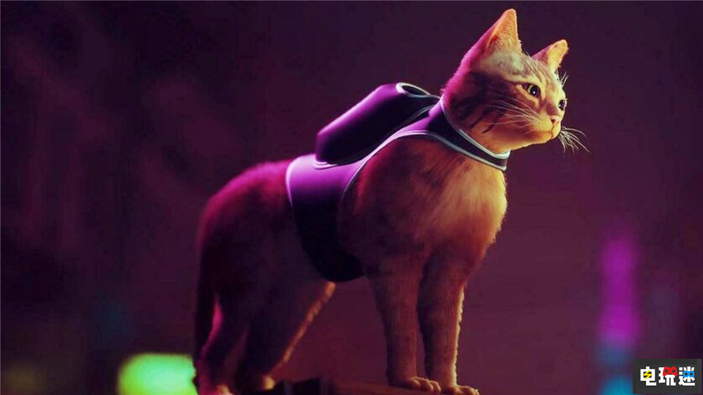 Steam周榜：赛博猫猫《迷失》第三 老头环重返前四 曙光 怪物猎人 崛起 CS：GO 严阵以待 艾尔登法环 木筏 迷失 Steam Deck Steam周榜 STEAM/Epic  第1张