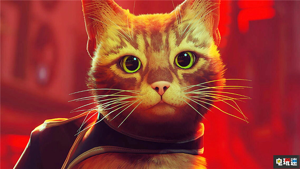 赛博猫猫游戏《迷失》Steam同时在线打破发行商记录 橘猫 猫咪 PC游戏 Steam Stray 迷失 STEAM/Epic  第1张