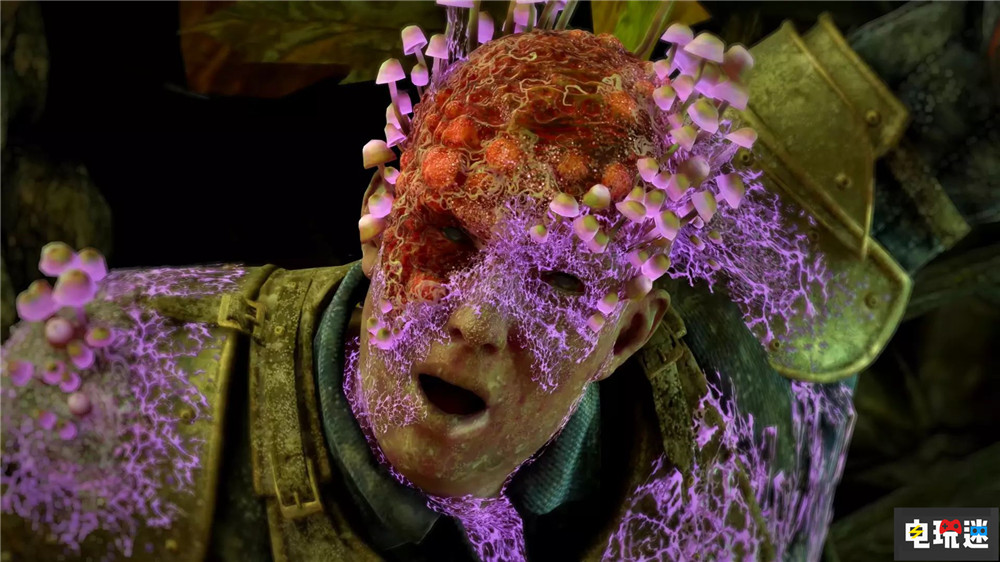 黑曜石总监称《宣誓》中玩家有很多选择来塑造角色 游戏选择 永恒之柱 单机游戏 Avowed 宣誓 黑曜石娱乐 微软XBOX  第2张